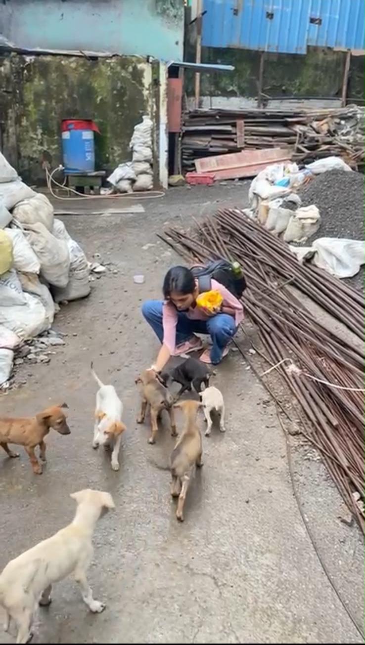 Volunteer feeding a litter of puppies